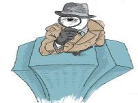 布尔津县取证公司解说第三者承担离婚赔偿责任吗